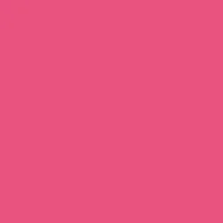 Fuchsia Fuchsia