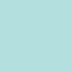 Mint Mint