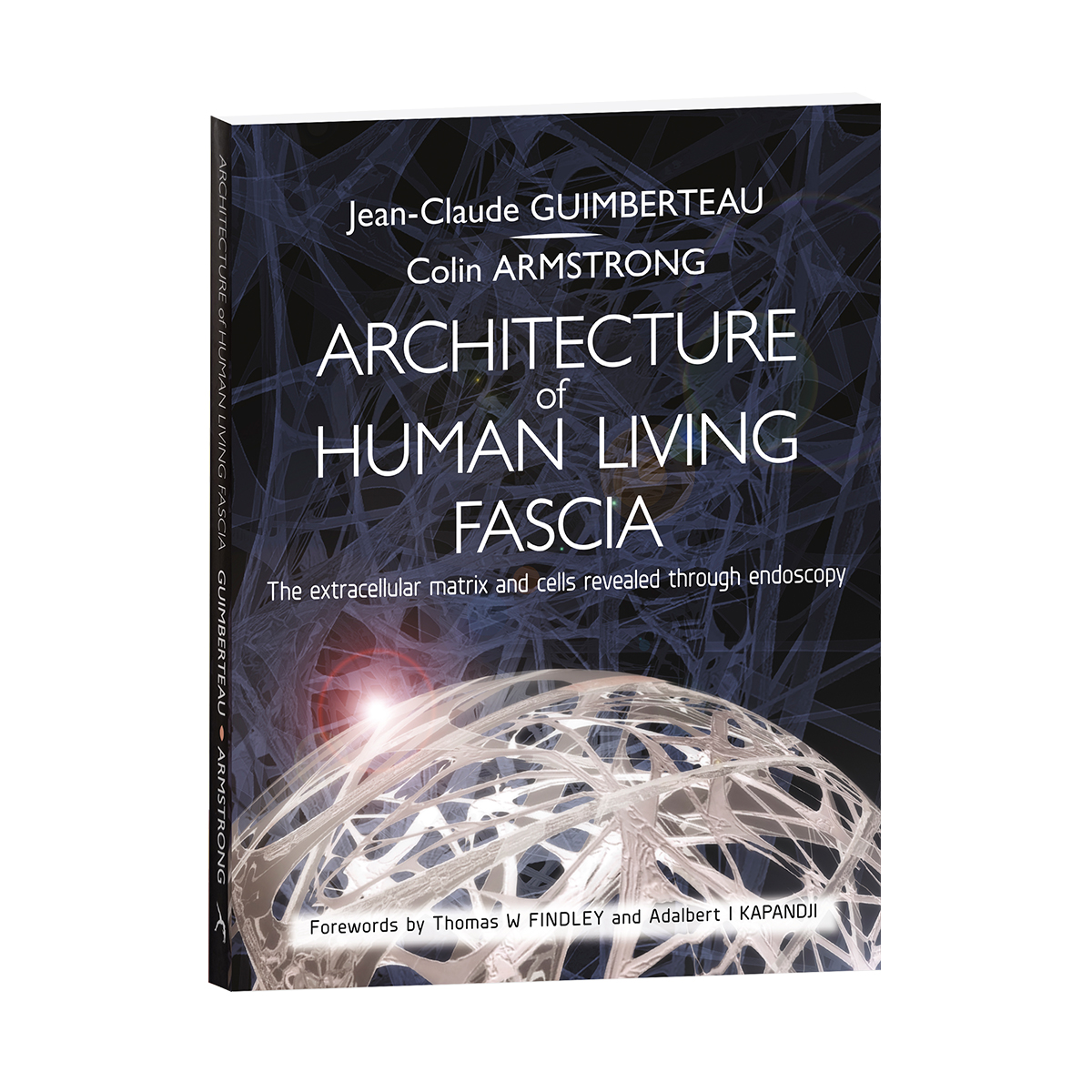 Architecture of Human Living Fascia