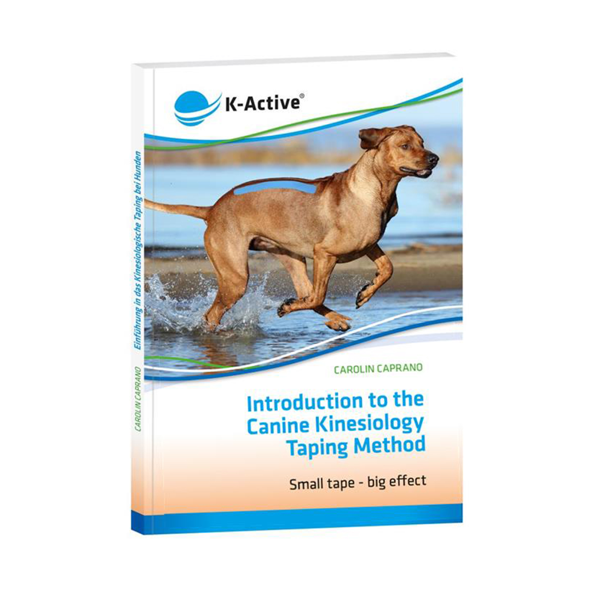 ShopbildUwfxxkpyLEahd Introduction to the Canine Kinesiology Taping Method