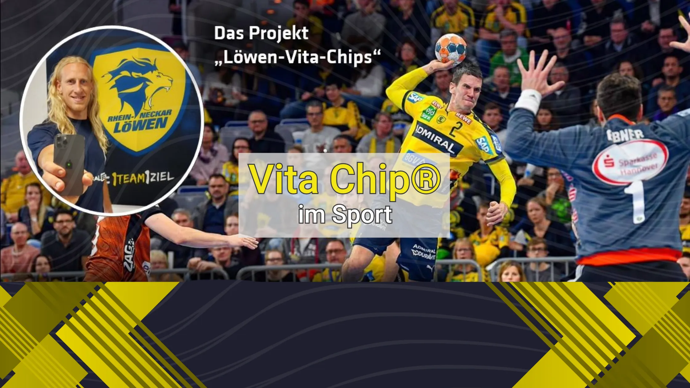 vita_chip_loewen Blog Header Vita Chip Löwen Projekt