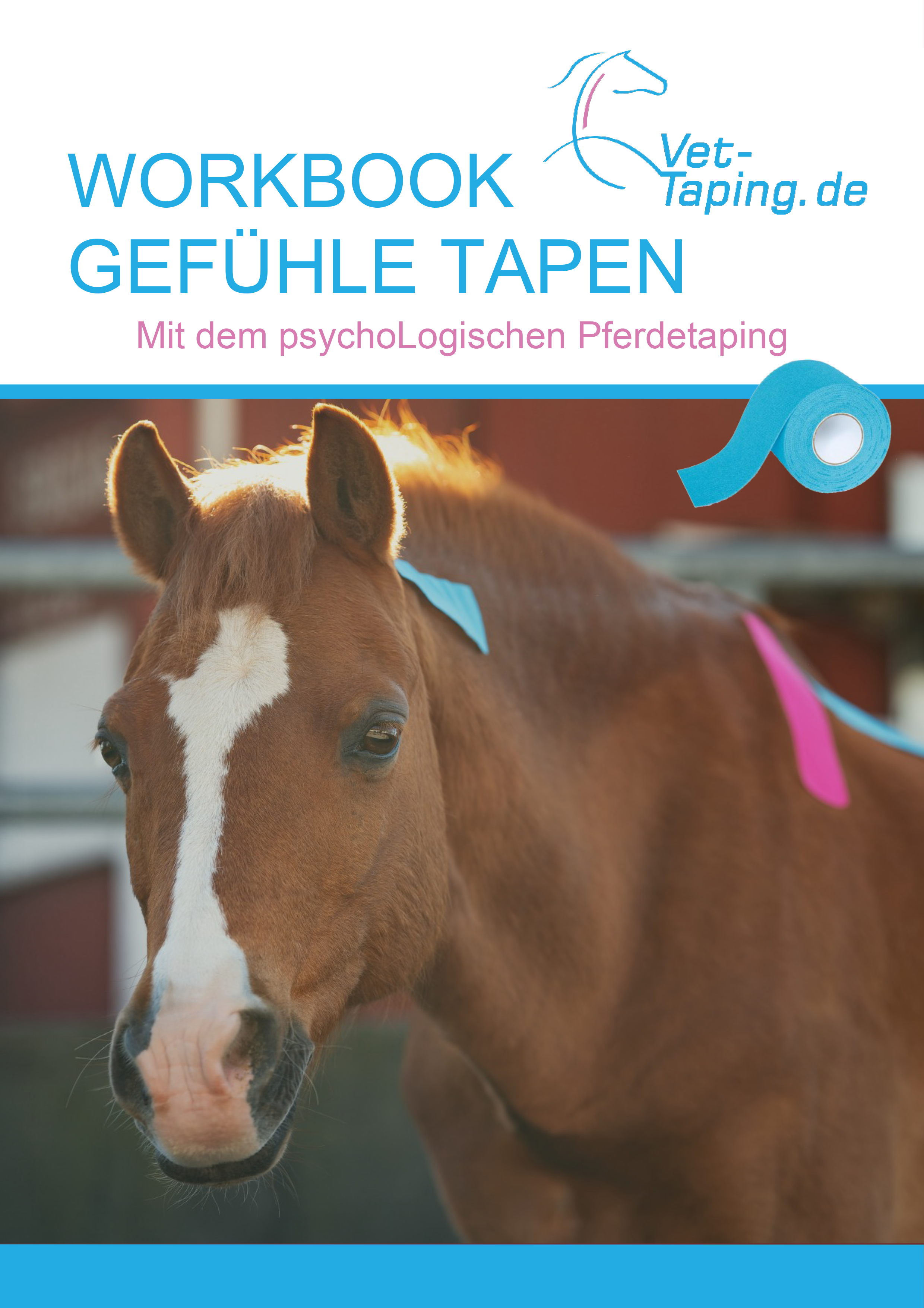Workbook Gefühle Tapen Workbook Gefühle Tapen