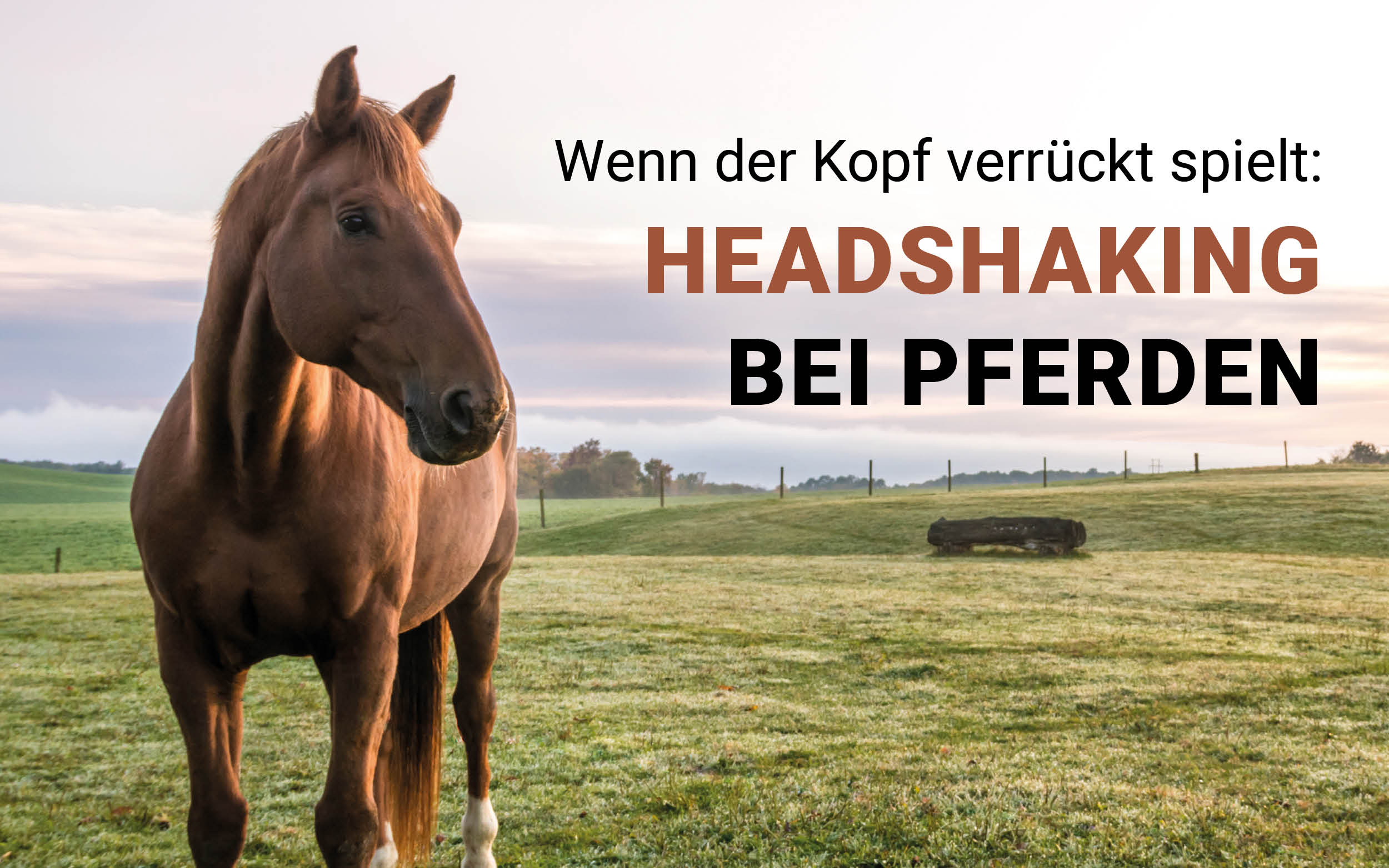 Blogbeitrge_Fachbeitrge_1200x750_4