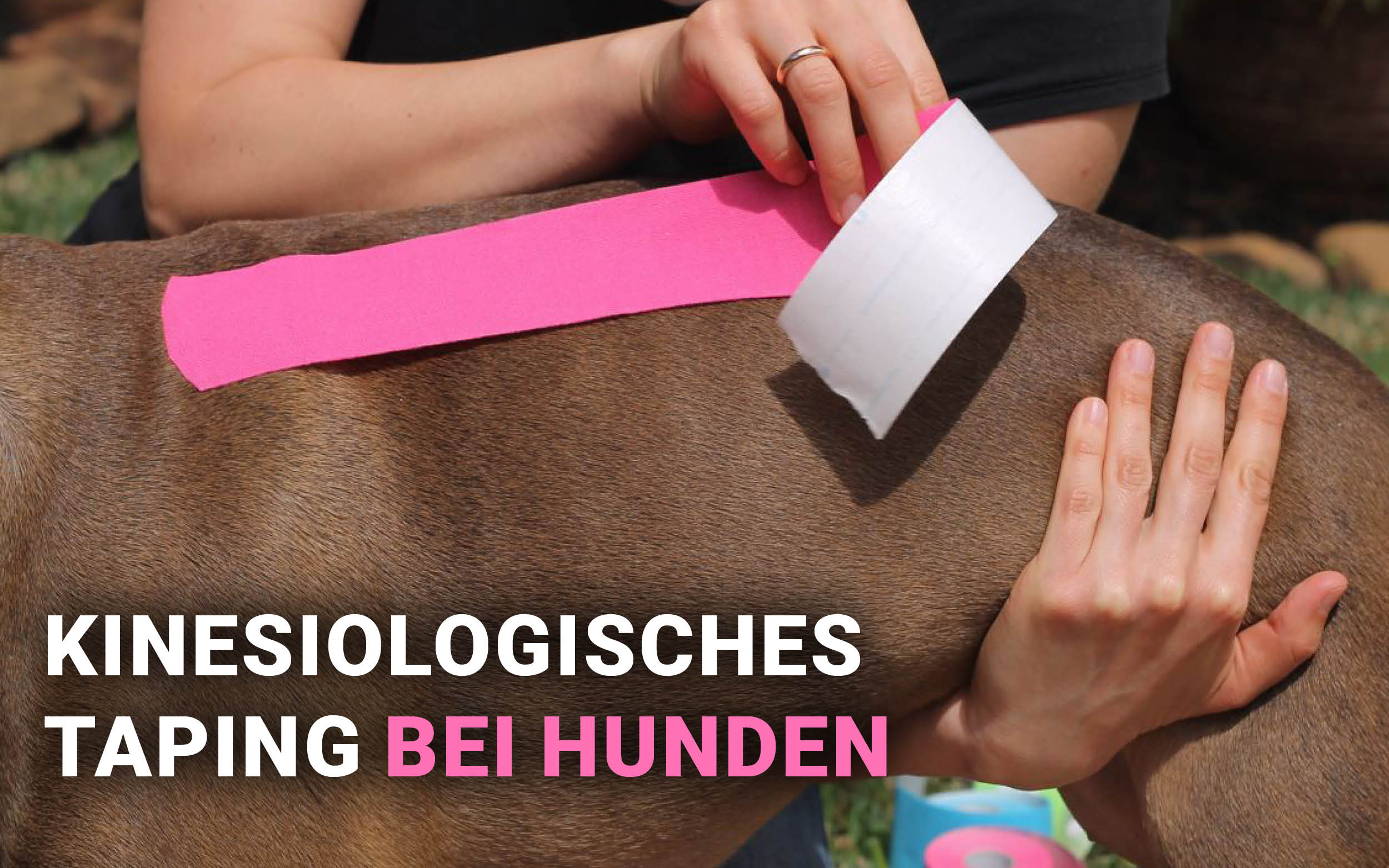 Blogbeitrge_Fachbeitrge_1200x750_2 Blogbeitrge_Fachbeitrge_1200x750_2